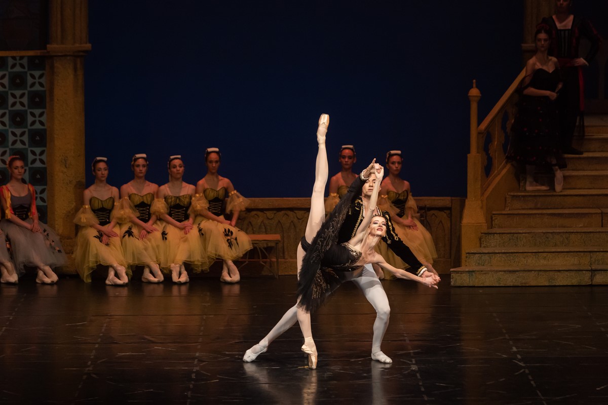 Снимка: ЛЕБЕДОВО ЕЗЕРО / SWAN LAKE