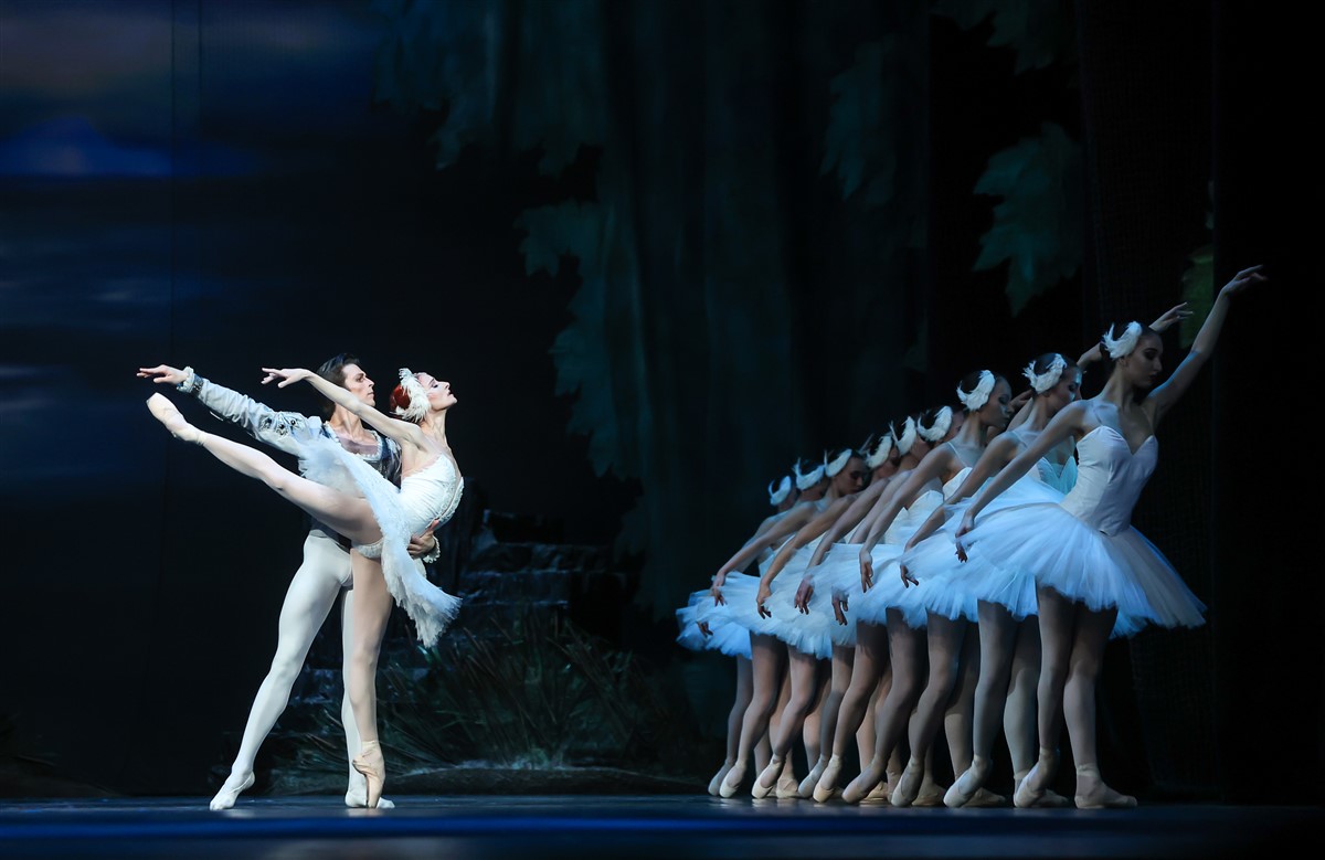 Снимка: ЛЕБЕДОВО ЕЗЕРО / SWAN LAKE