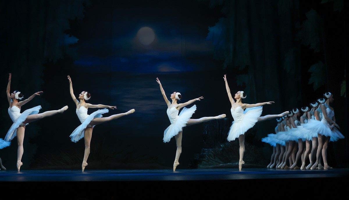 Снимка: ЛЕБЕДОВО ЕЗЕРО / SWAN LAKE
