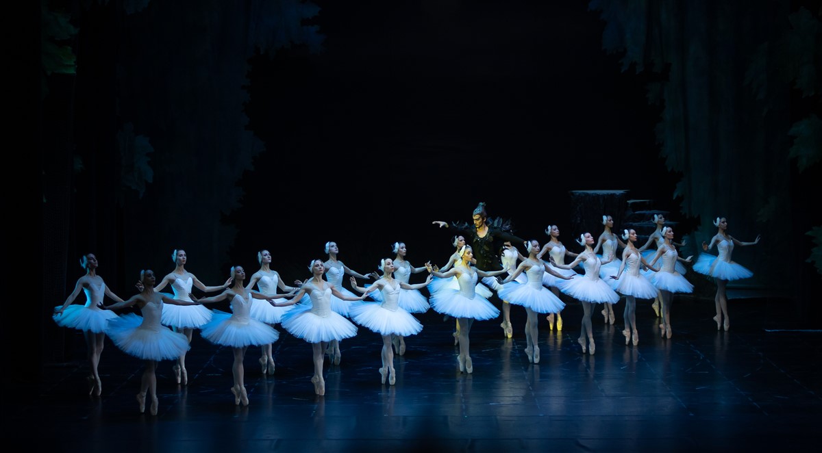 Снимка: ЛЕБЕДОВО ЕЗЕРО / SWAN LAKE