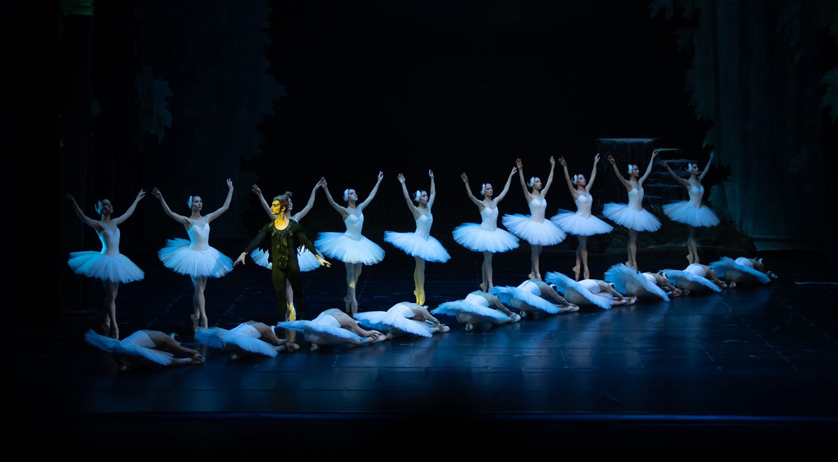 Снимка: ЛЕБЕДОВО ЕЗЕРО / SWAN LAKE