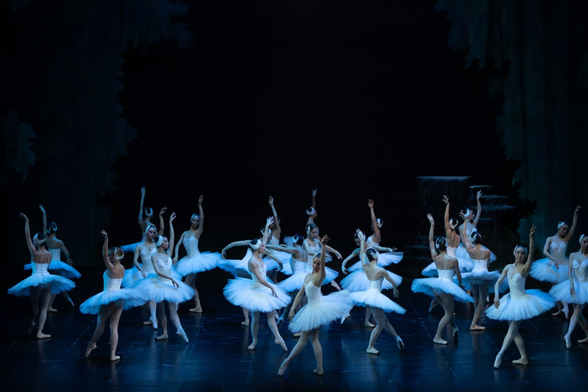 Снимка: ЛЕБЕДОВО ЕЗЕРО / SWAN LAKE