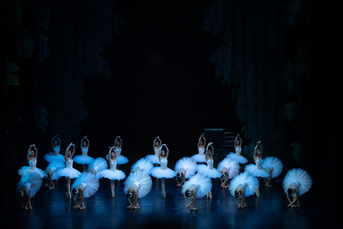 Photo: ЛЕБЕДОВО ЕЗЕРО / SWAN LAKE