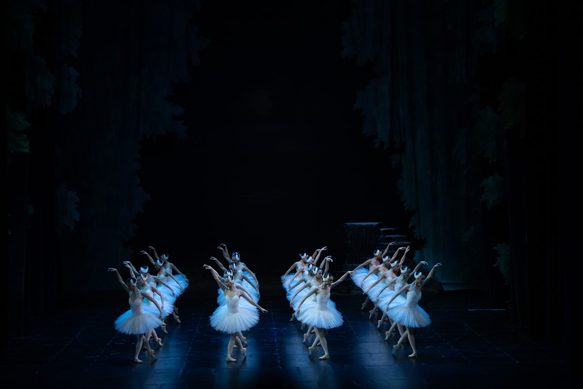 Photo: ЛЕБЕДОВО ЕЗЕРО / SWAN LAKE