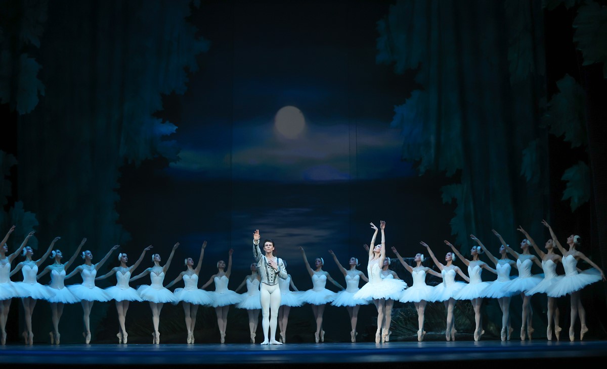Снимка: ЛЕБЕДОВО ЕЗЕРО / SWAN LAKE