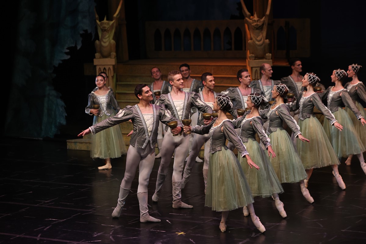 Снимка: ЛЕБЕДОВО ЕЗЕРО / SWAN LAKE