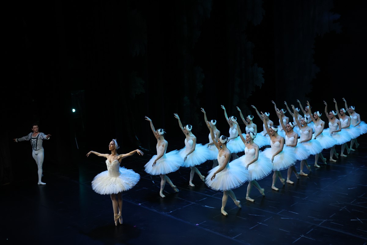 Снимка: ЛЕБЕДОВО ЕЗЕРО / SWAN LAKE