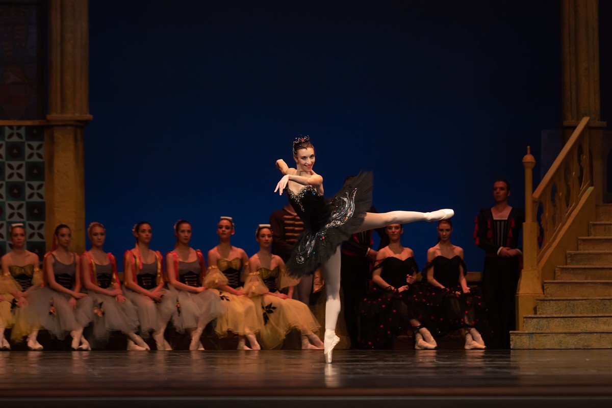 Снимка: ЛЕБЕДОВО ЕЗЕРО / SWAN LAKE