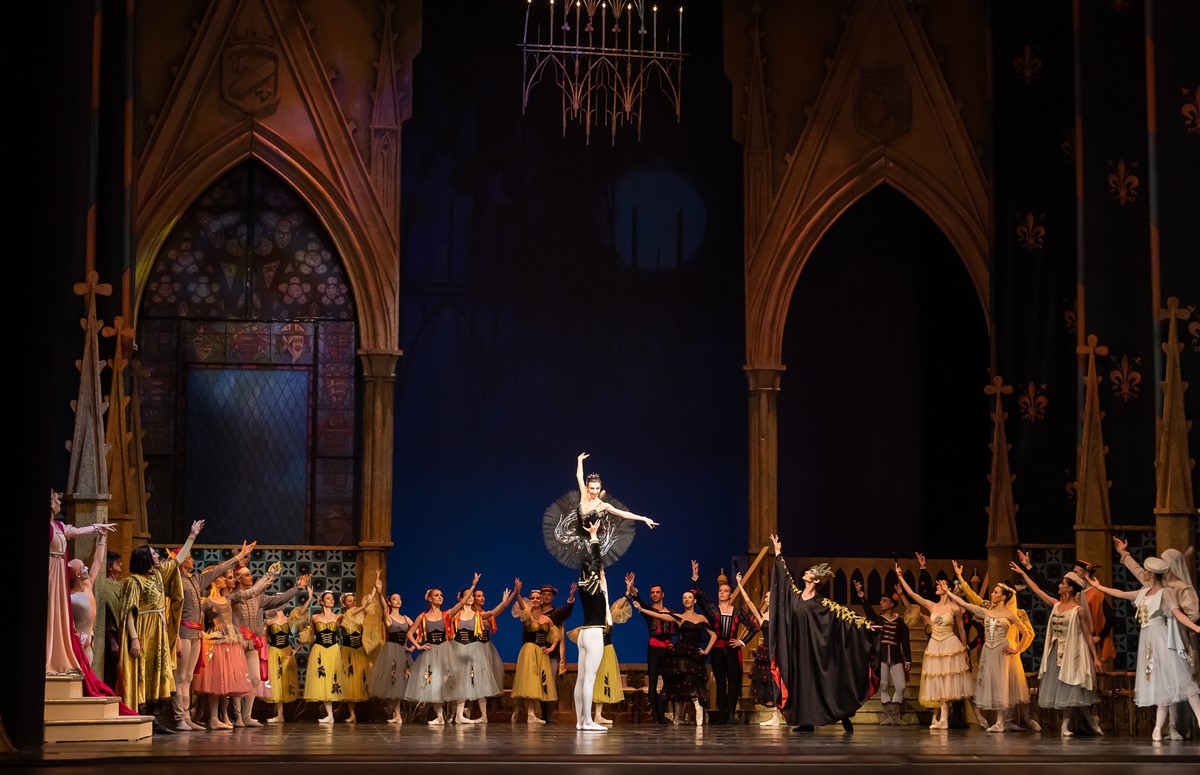 Снимка: ЛЕБЕДОВО ЕЗЕРО / SWAN LAKE