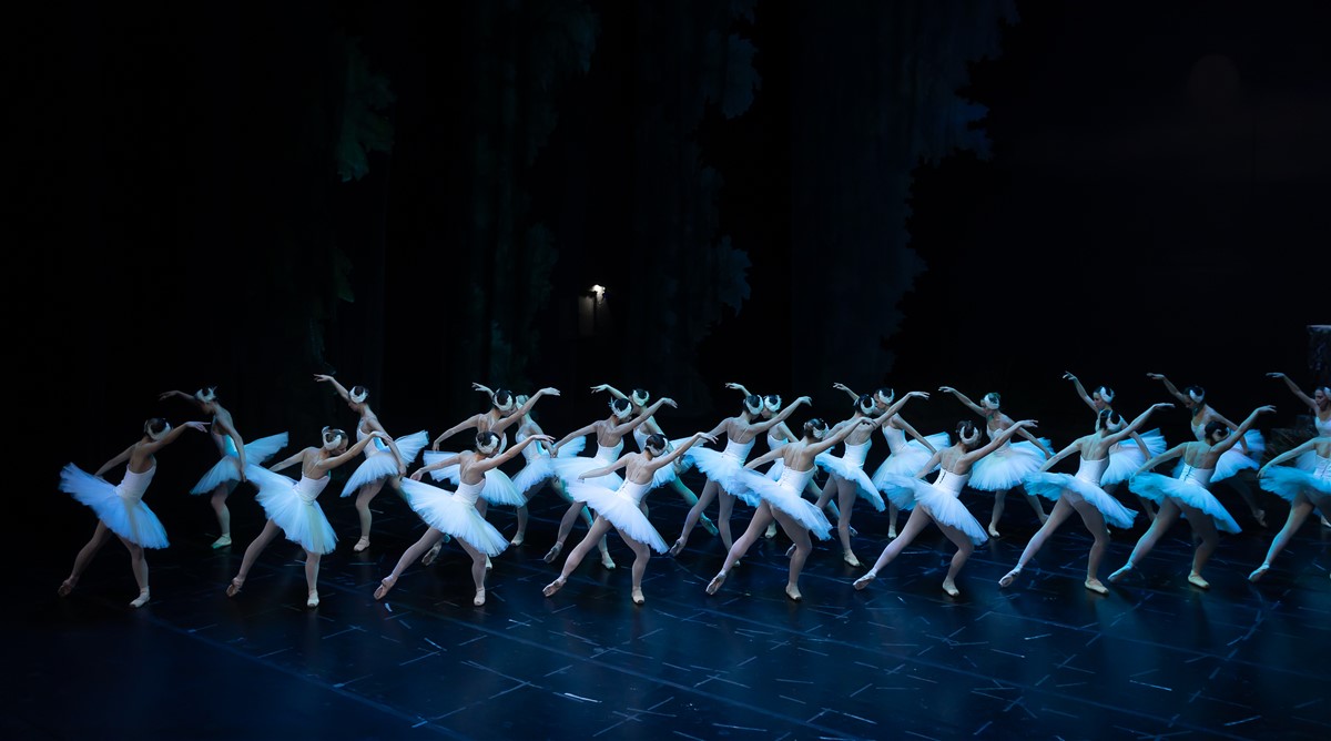 Снимка: ЛЕБЕДОВО ЕЗЕРО / SWAN LAKE