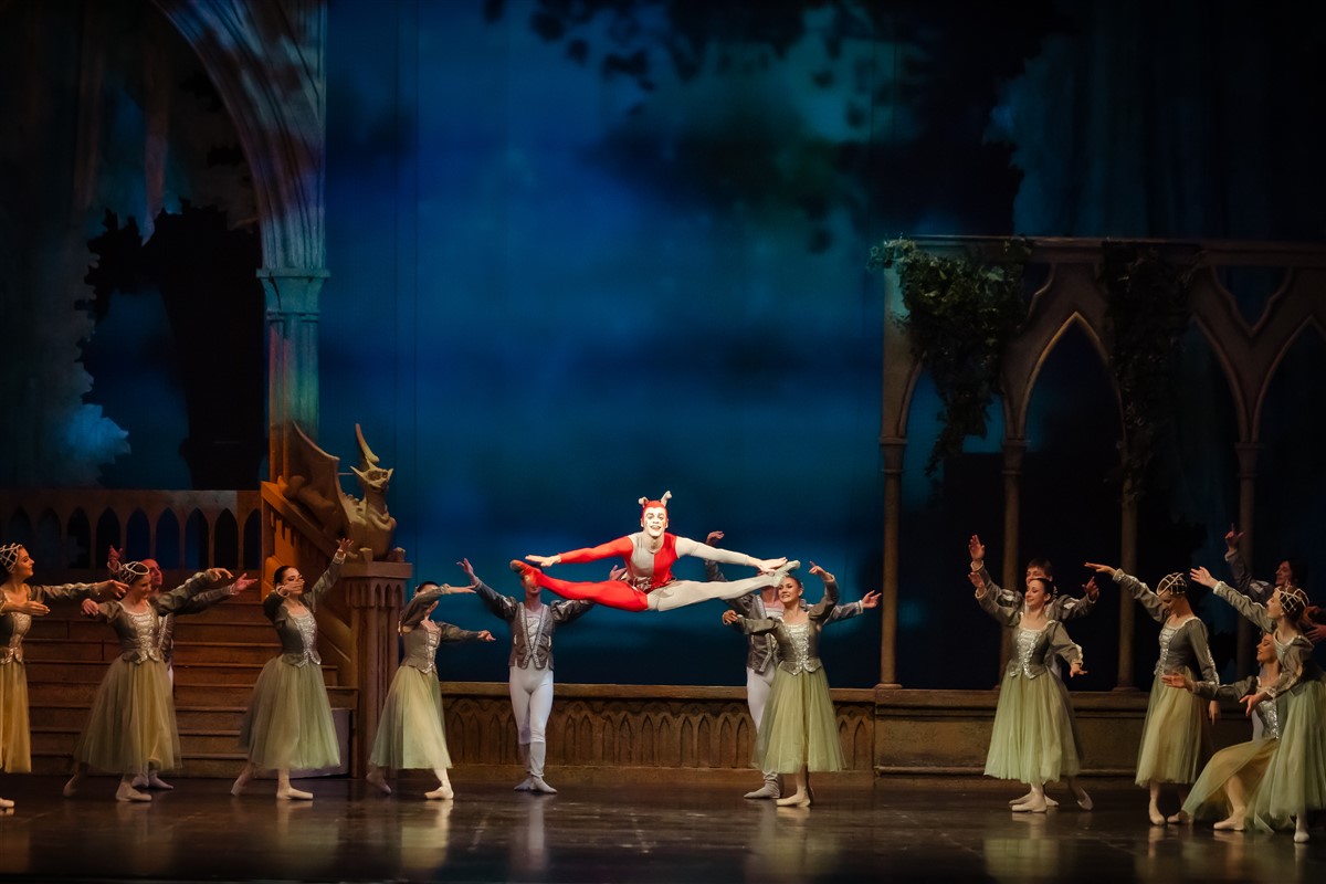 Снимка: ЛЕБЕДОВО ЕЗЕРО / SWAN LAKE