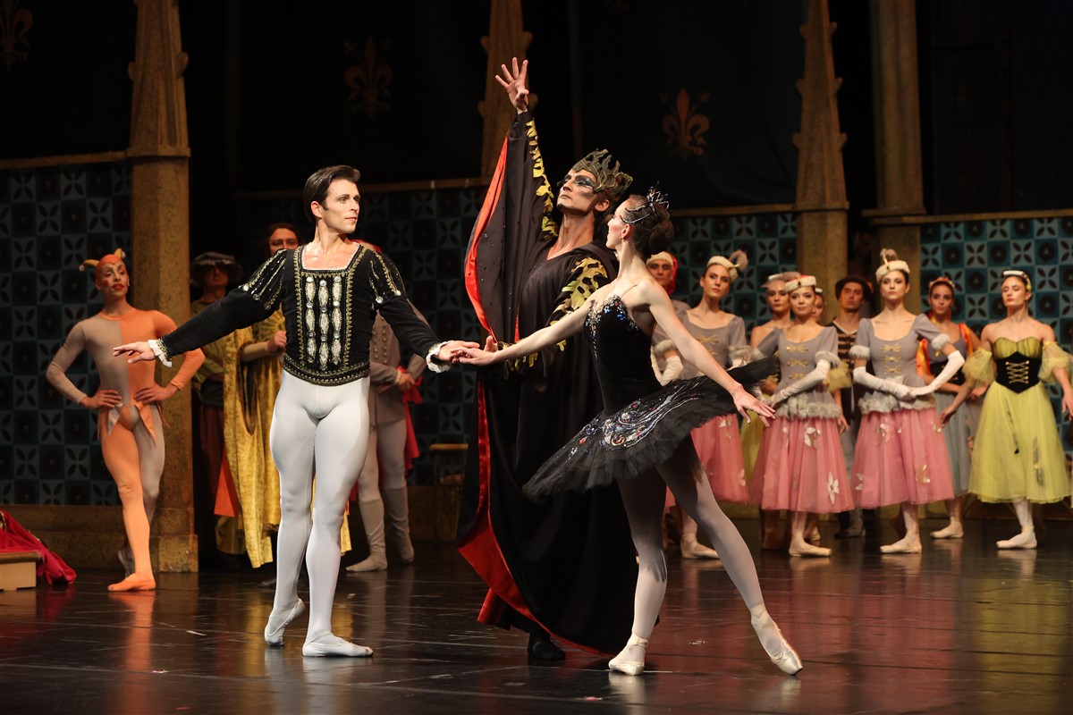 Снимка: ЛЕБЕДОВО ЕЗЕРО / SWAN LAKE