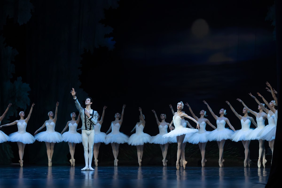 Снимка: ЛЕБЕДОВО ЕЗЕРО / SWAN LAKE