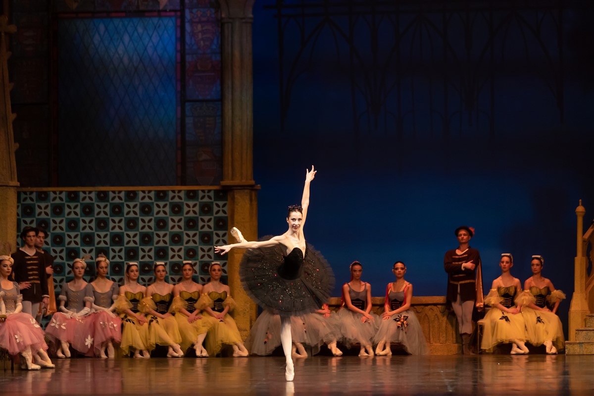 Снимка: ЛЕБЕДОВО ЕЗЕРО / SWAN LAKE