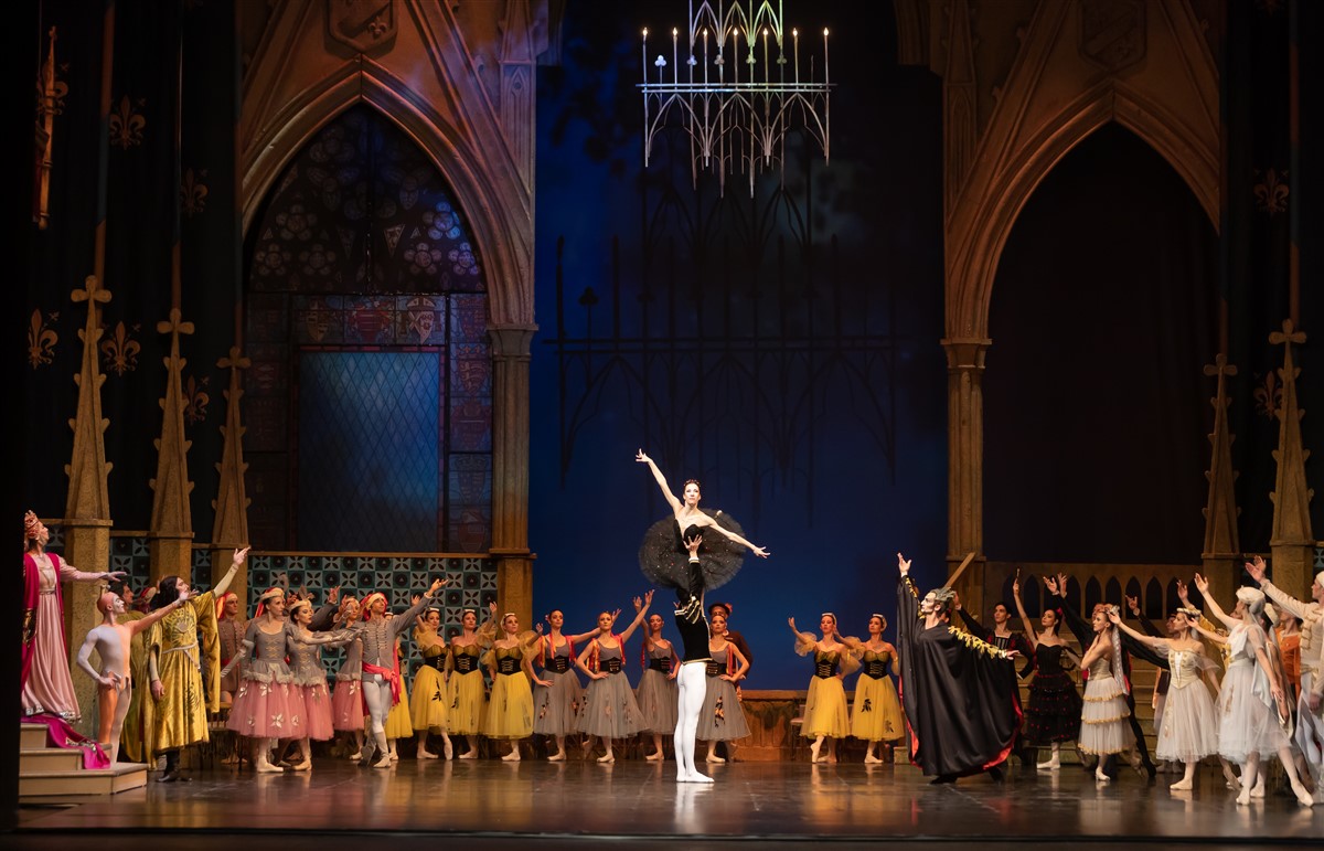 Снимка: ЛЕБЕДОВО ЕЗЕРО / SWAN LAKE