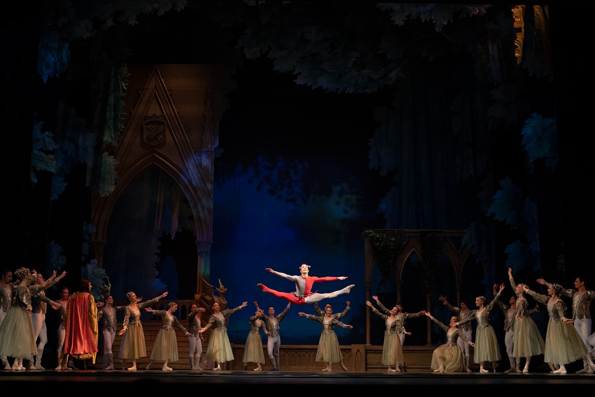 Снимка: ЛЕБЕДОВО ЕЗЕРО / SWAN LAKE