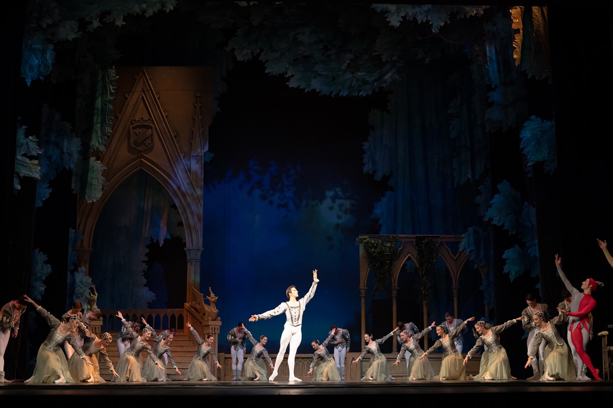 Снимка: ЛЕБЕДОВО ЕЗЕРО / SWAN LAKE