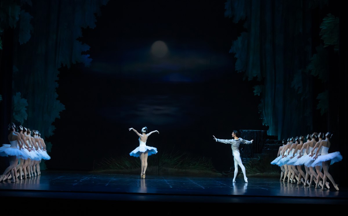 Снимка: ЛЕБЕДОВО ЕЗЕРО / SWAN LAKE