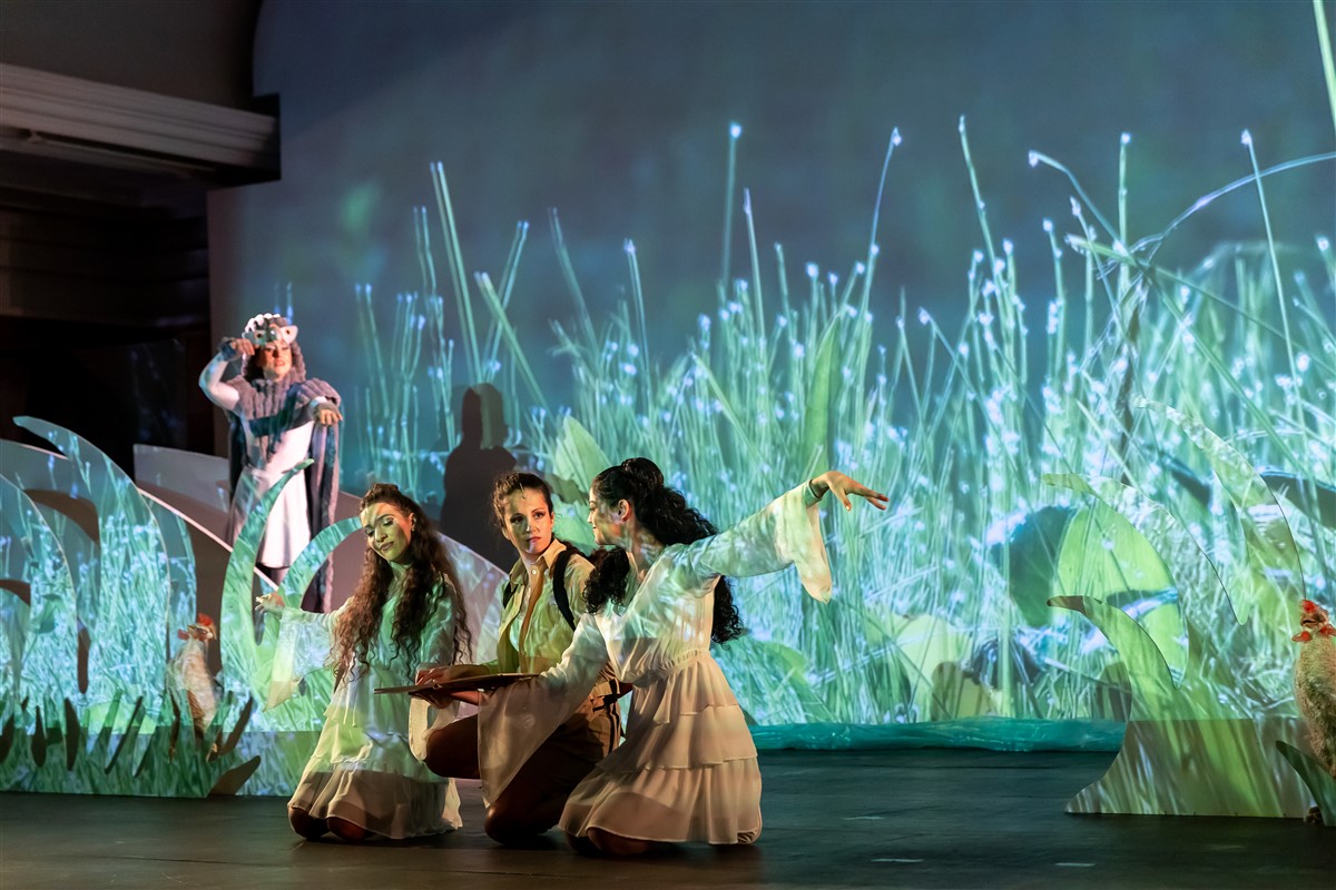 Снимка: „Карнавалът на животните“