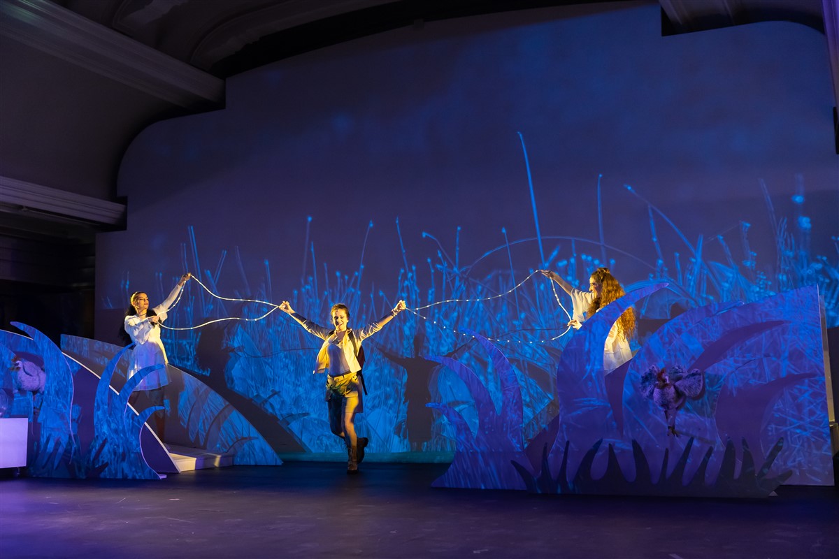 Снимка: „Карнавалът на животните“