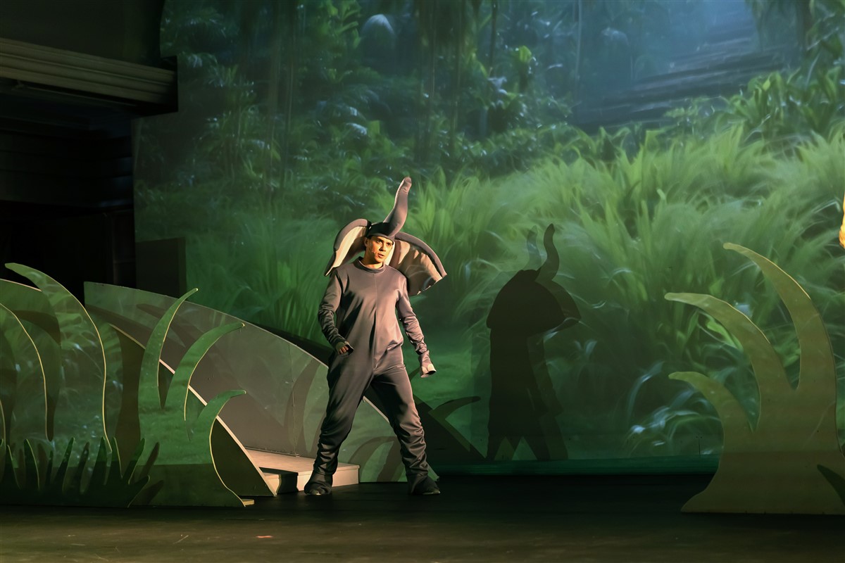 Снимка: „Карнавалът на животните“