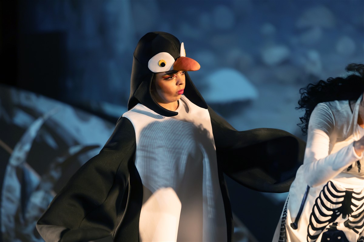 Снимка: „Карнавалът на животните“