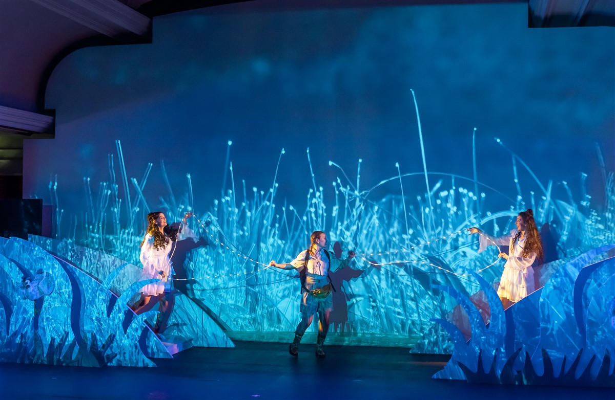 Снимка: „Карнавалът на животните“