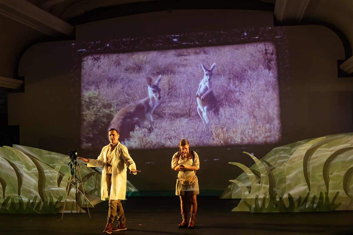 Снимка: „Карнавалът на животните“