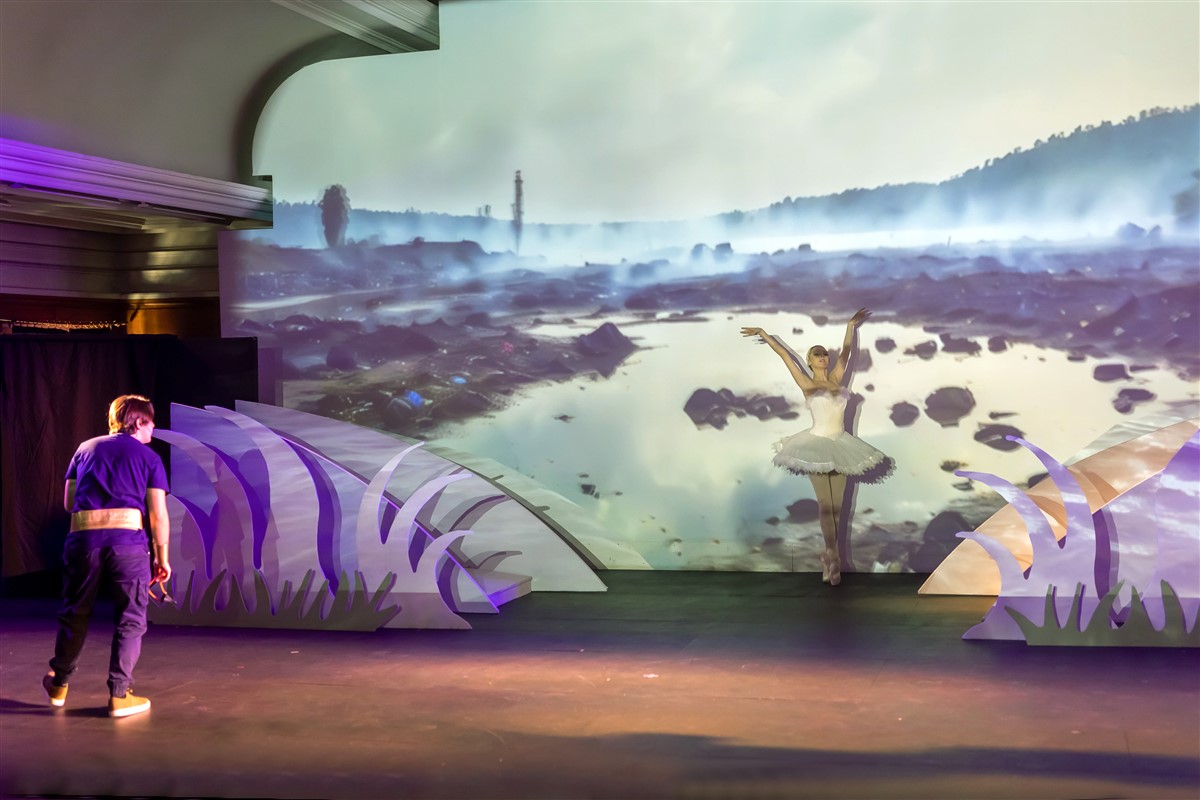 Снимка: „Карнавалът на животните“