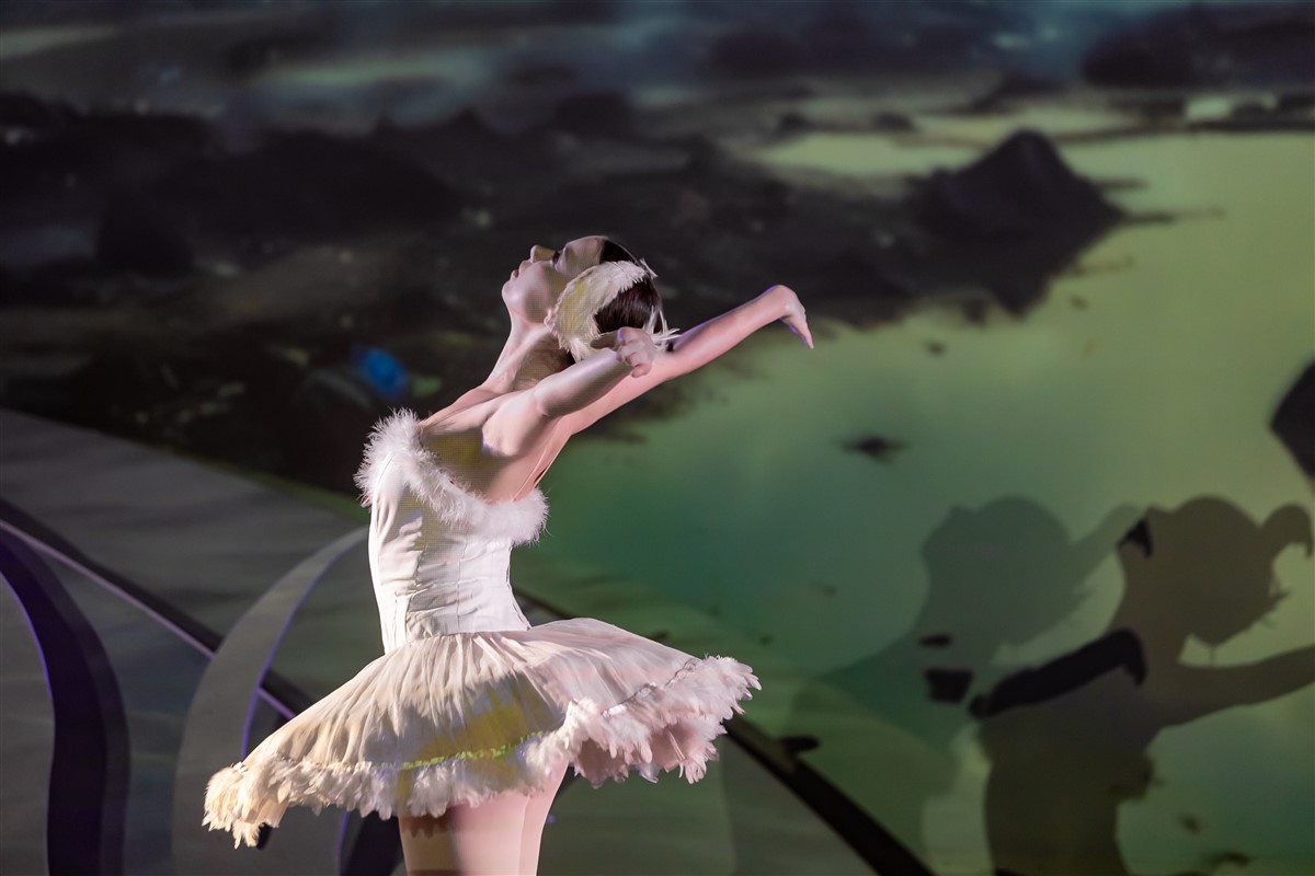 Снимка: „Карнавалът на животните“