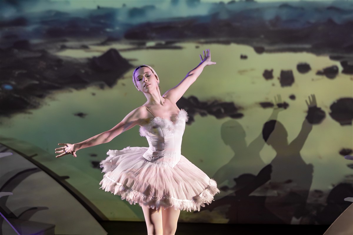 Снимка: „Карнавалът на животните“