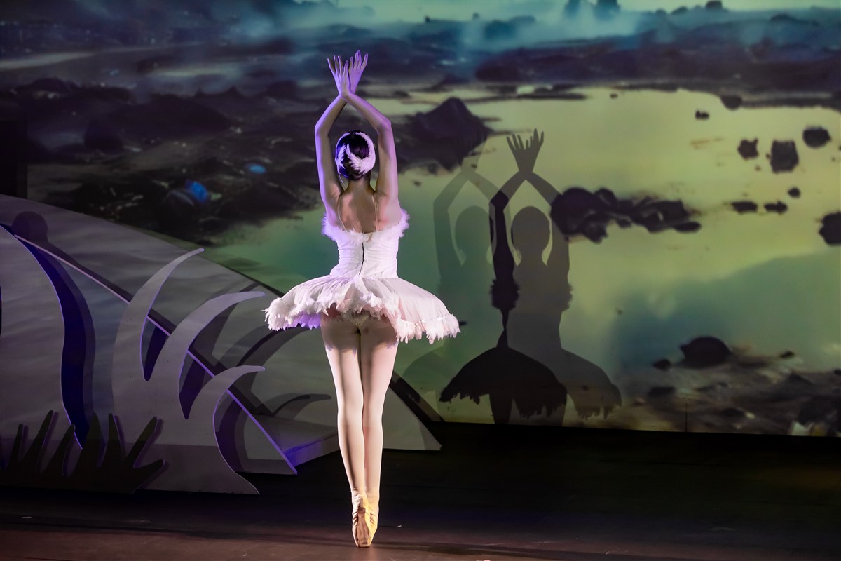 Снимка: „Карнавалът на животните“