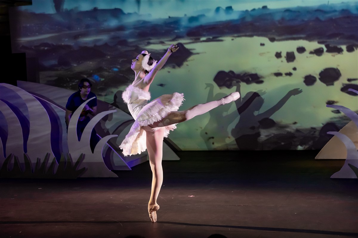 Снимка: „Карнавалът на животните“