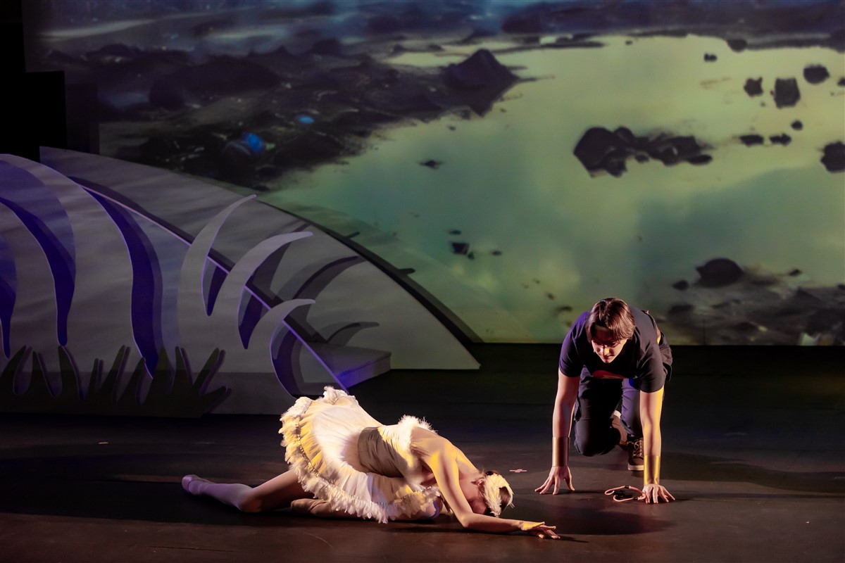 Снимка: „Карнавалът на животните“