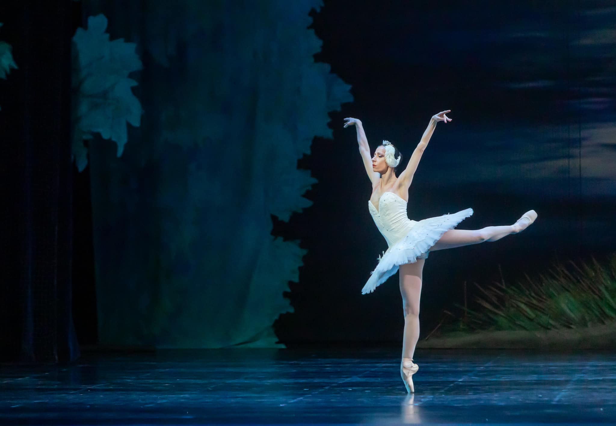 Photo: ЛЕБЕДОВО ЕЗЕРО / SWAN LAKE