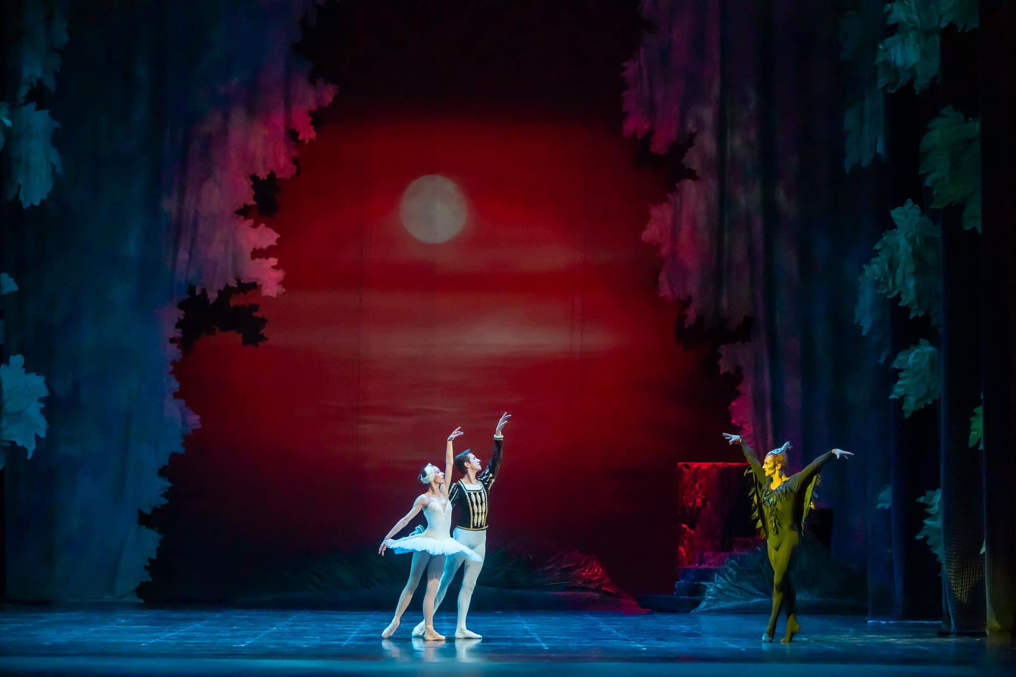 Photo: ЛЕБЕДОВО ЕЗЕРО / SWAN LAKE
