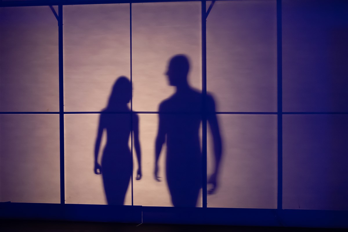 Снимка: КРАДЕЦЪТ НА ПРАСКОВИ