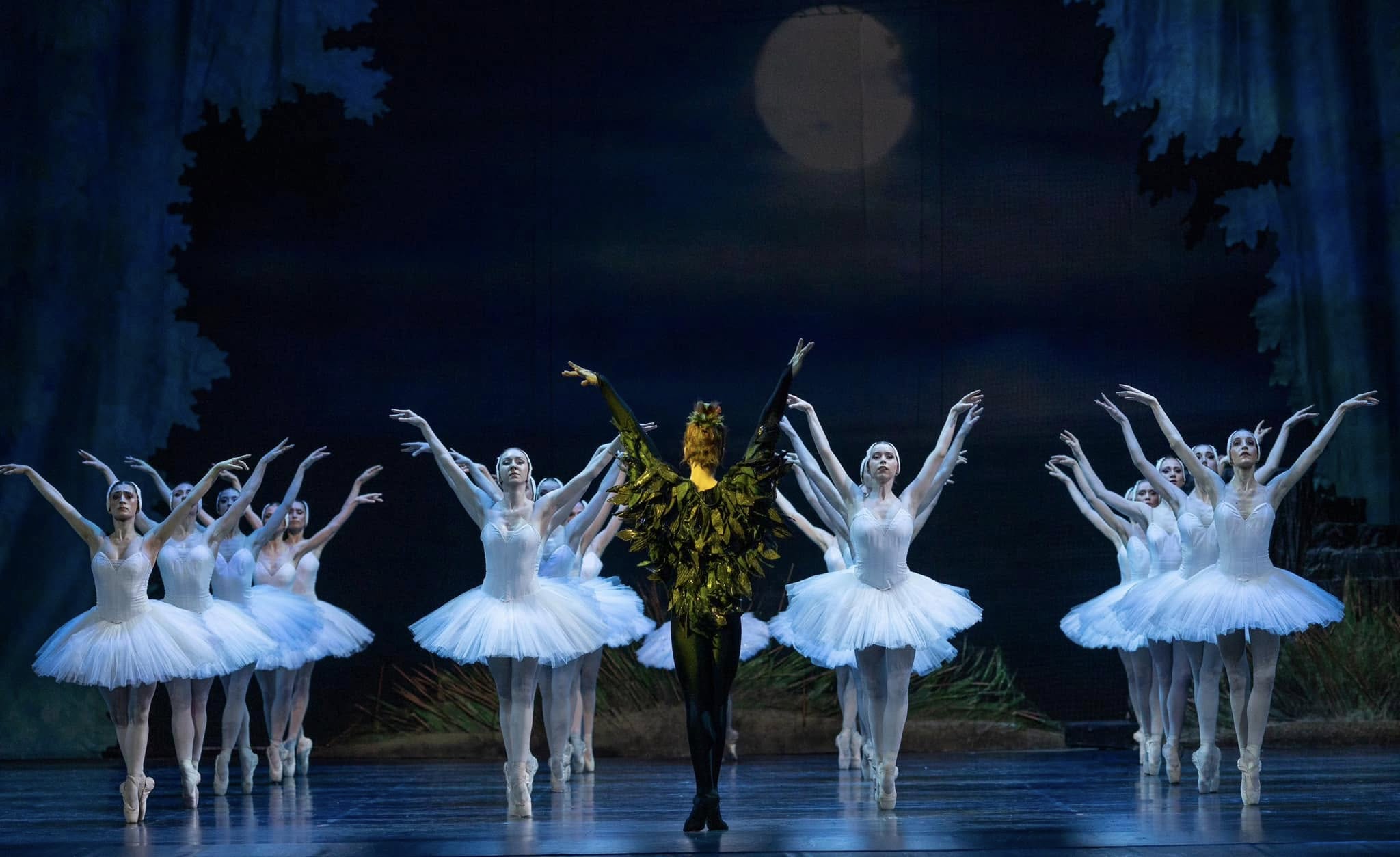 Photo: ЛЕБЕДОВО ЕЗЕРО / SWAN LAKE by Pyotr Ilyich Tchaikovsky