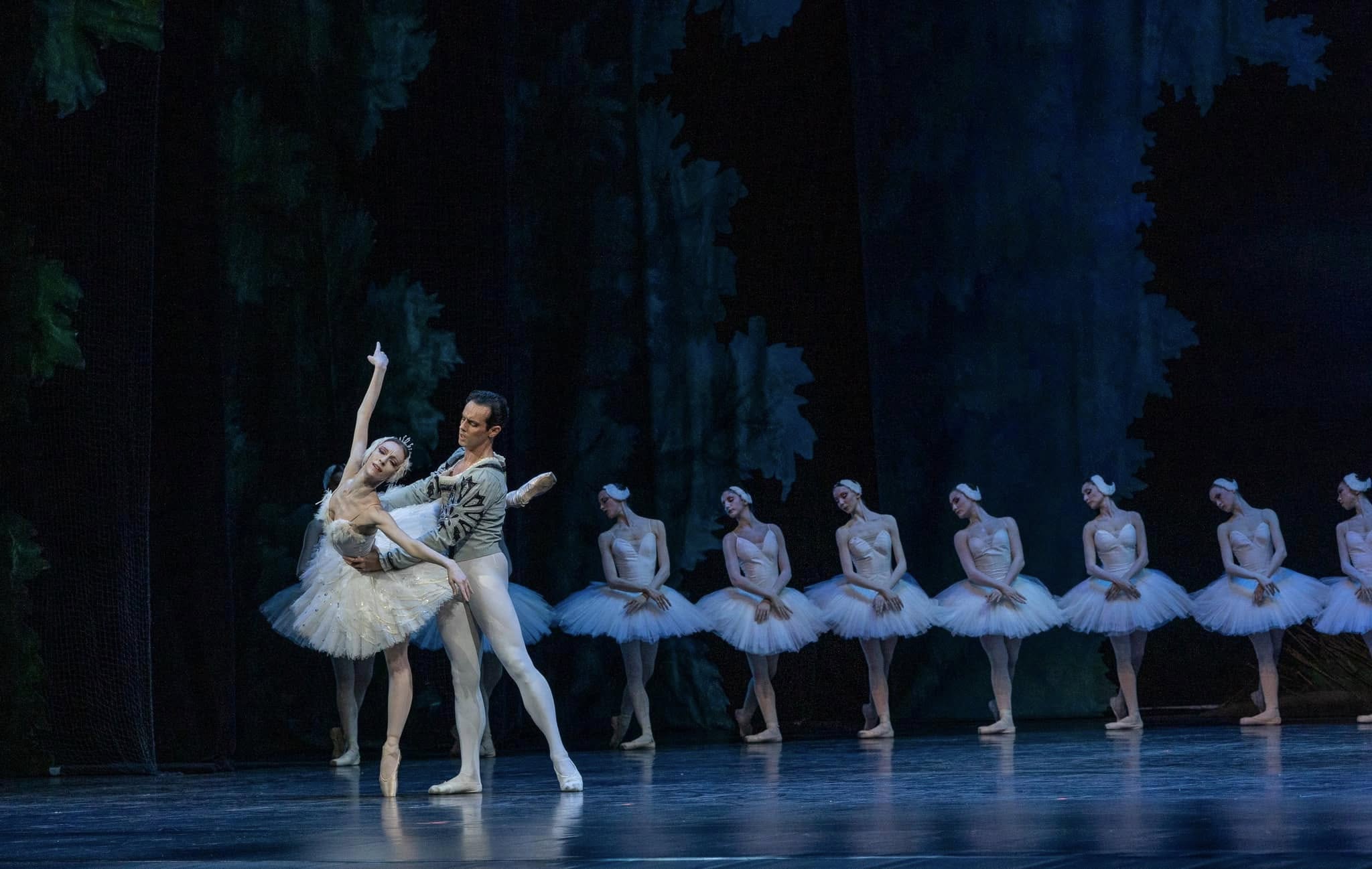 Снимка: ЛЕБЕДОВО ЕЗЕРО / SWAN LAKE by Pyotr Ilyich Tchaikovsky