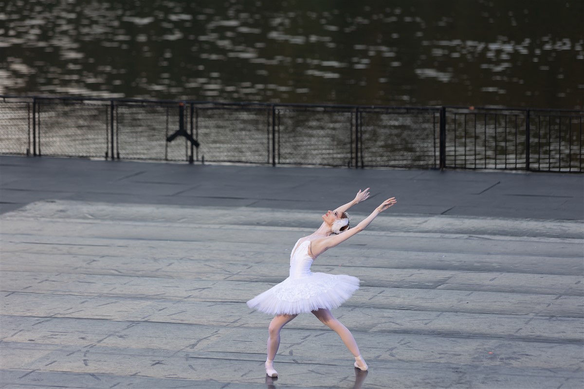 Снимка: ЛЕБЕДОВО ЕЗЕРО / SWAN LAKE by Pyotr Ilyich Tchaikovsky