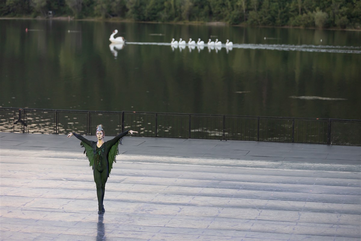 Снимка: ЛЕБЕДОВО ЕЗЕРО / SWAN LAKE by Pyotr Ilyich Tchaikovsky