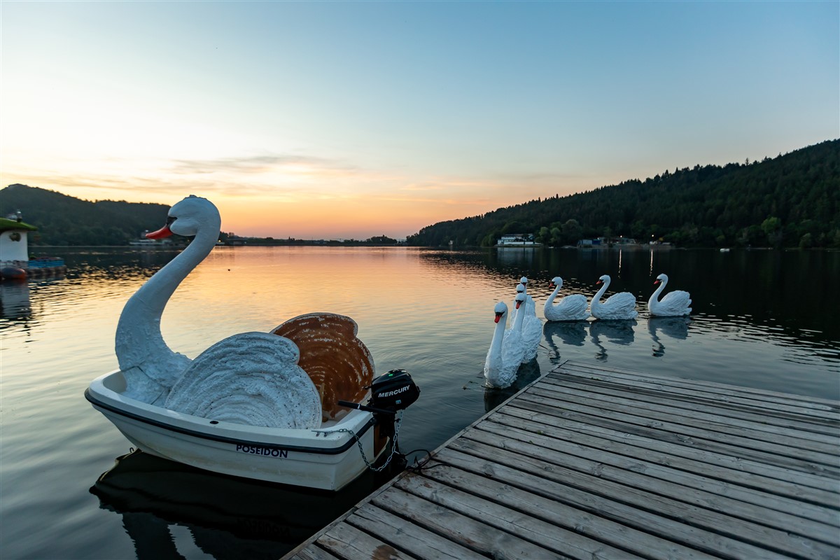 Снимка: ЛЕБЕДОВО ЕЗЕРО / SWAN LAKE by Pyotr Ilyich Tchaikovsky