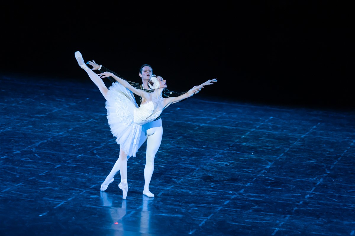 Снимка: ЛЕБЕДОВО ЕЗЕРО / SWAN LAKE by Pyotr Ilyich Tchaikovsky