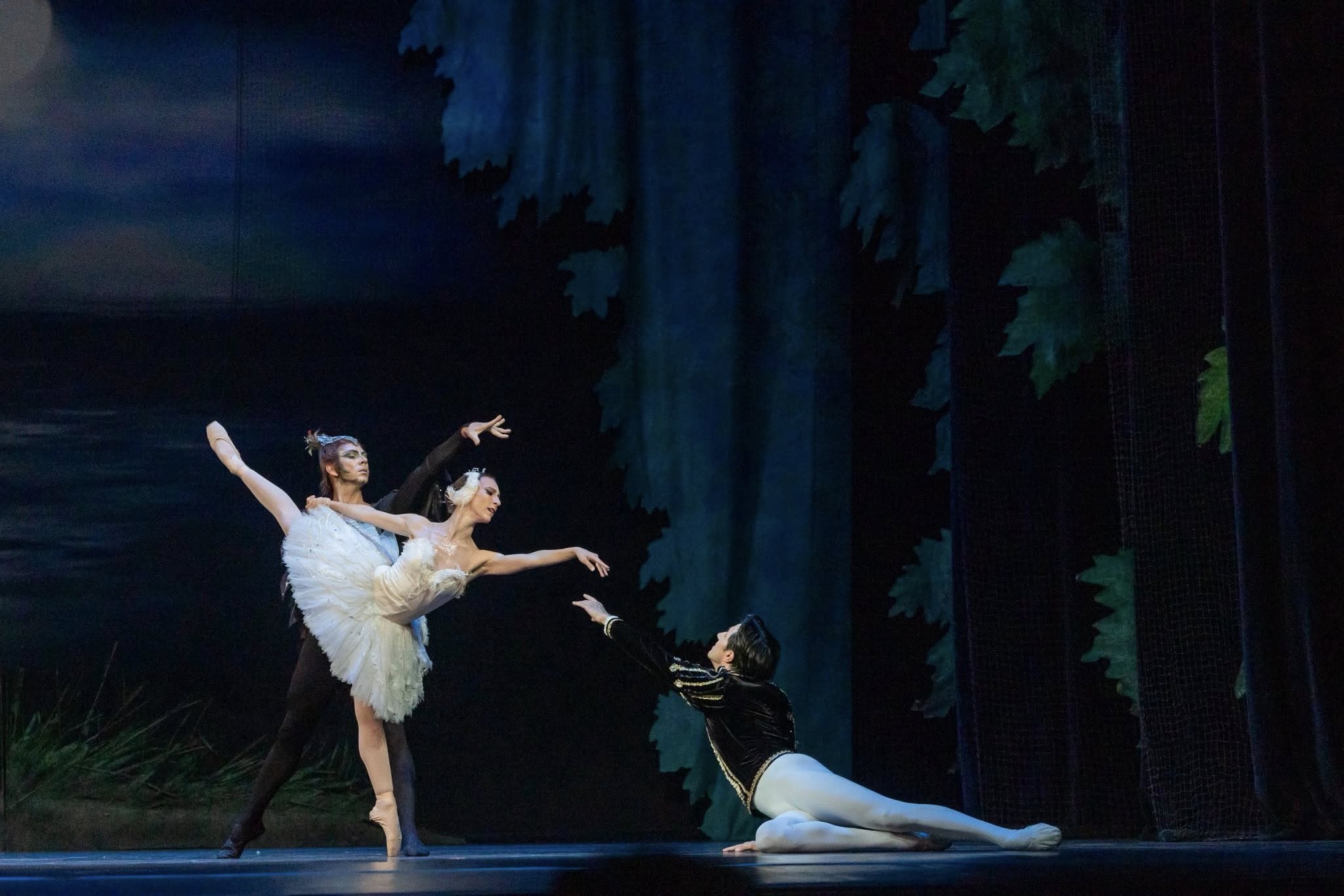 Снимка: ЛЕБЕДОВО ЕЗЕРО / SWAN LAKE by Pyotr Ilyich Tchaikovsky