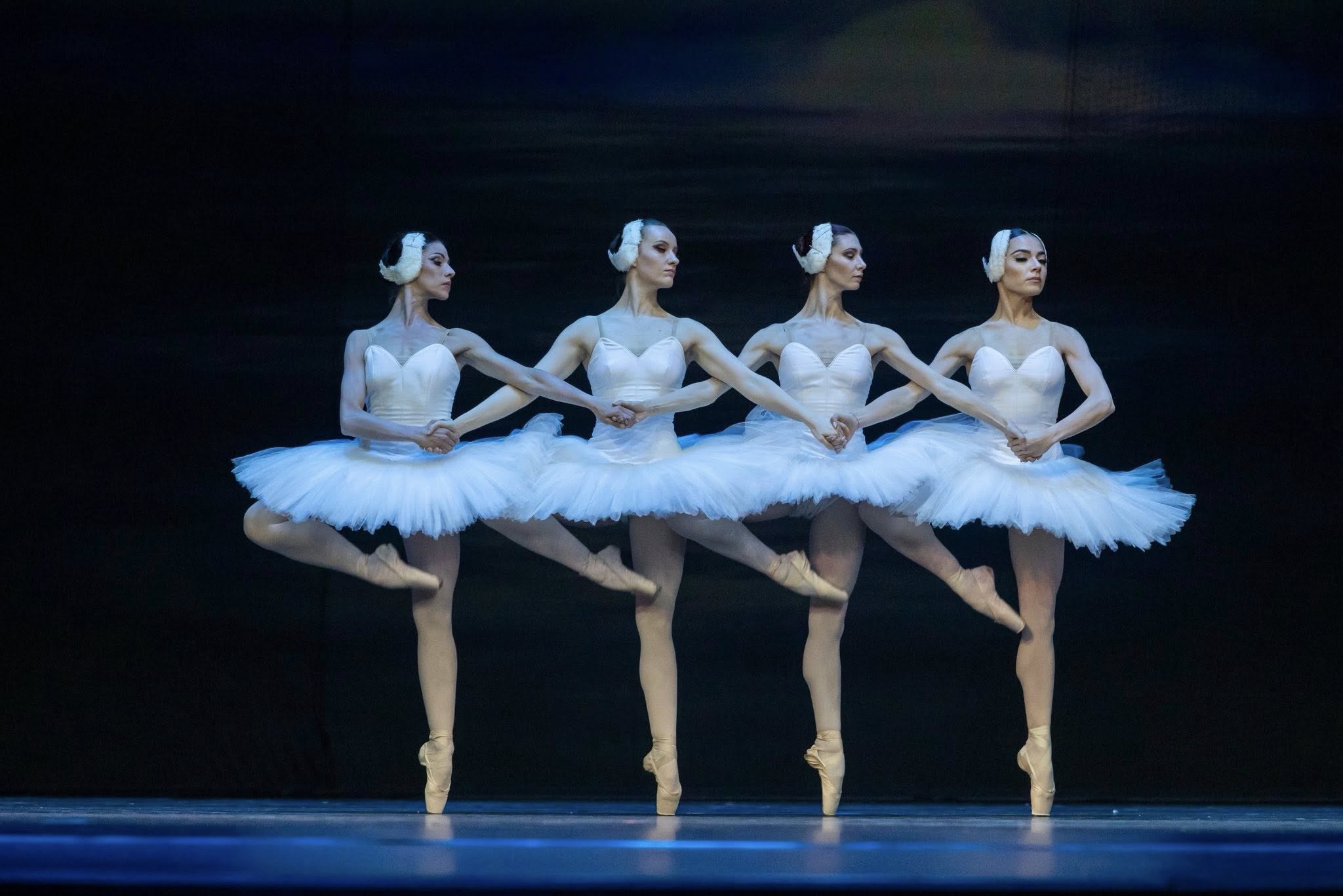 Снимка: ЛЕБЕДОВО ЕЗЕРО / SWAN LAKE by Pyotr Ilyich Tchaikovsky