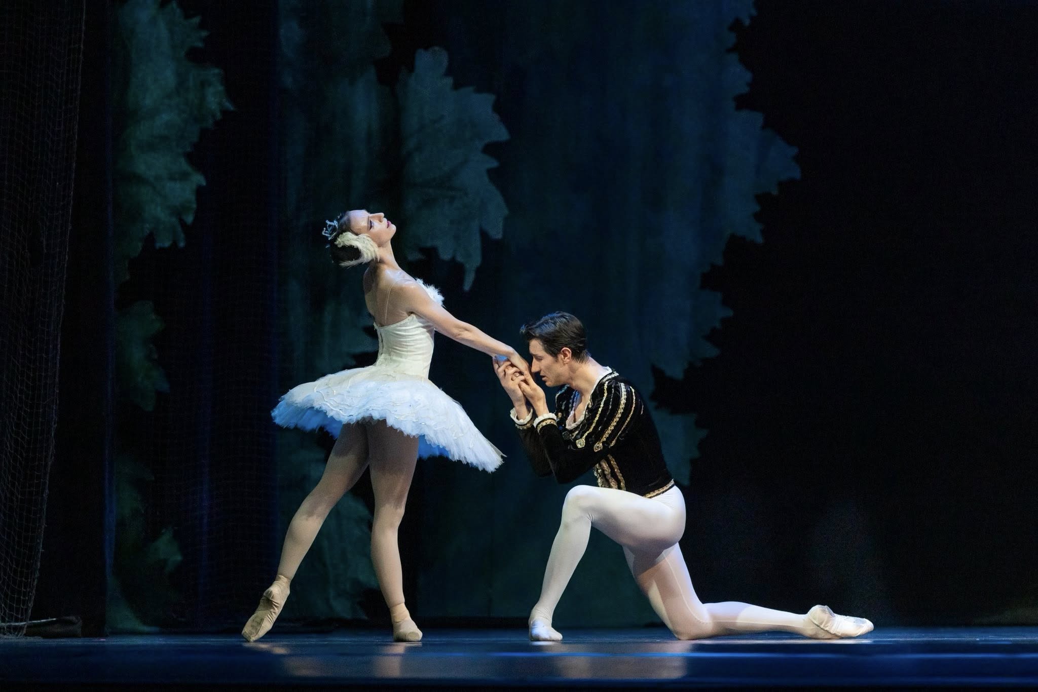Снимка: ЛЕБЕДОВО ЕЗЕРО / SWAN LAKE by Pyotr Ilyich Tchaikovsky