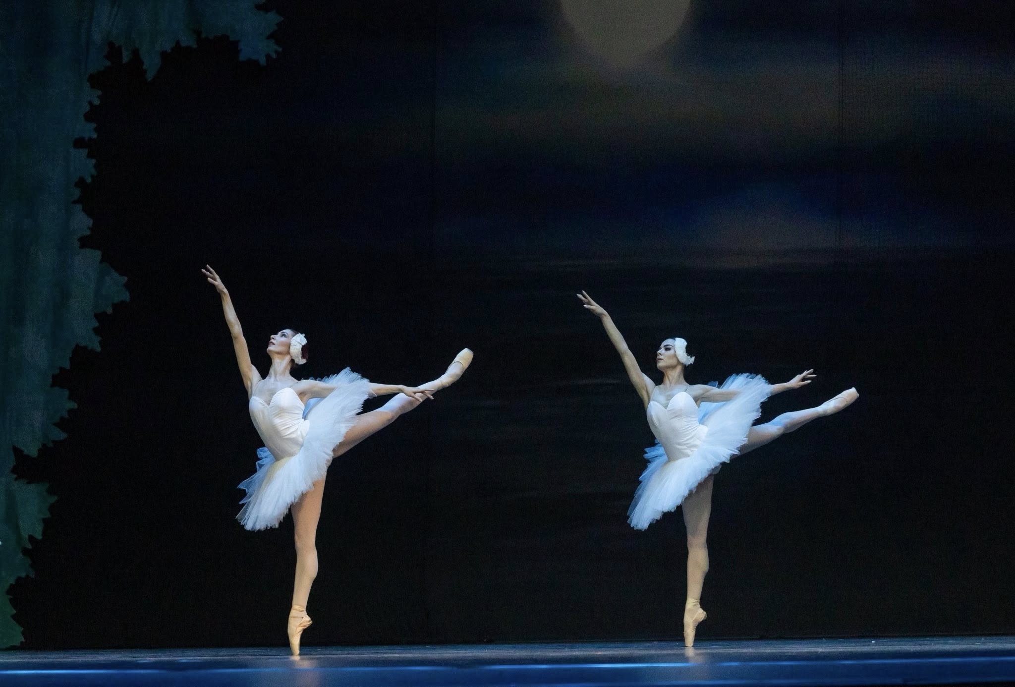 Снимка: ЛЕБЕДОВО ЕЗЕРО / SWAN LAKE by Pyotr Ilyich Tchaikovsky