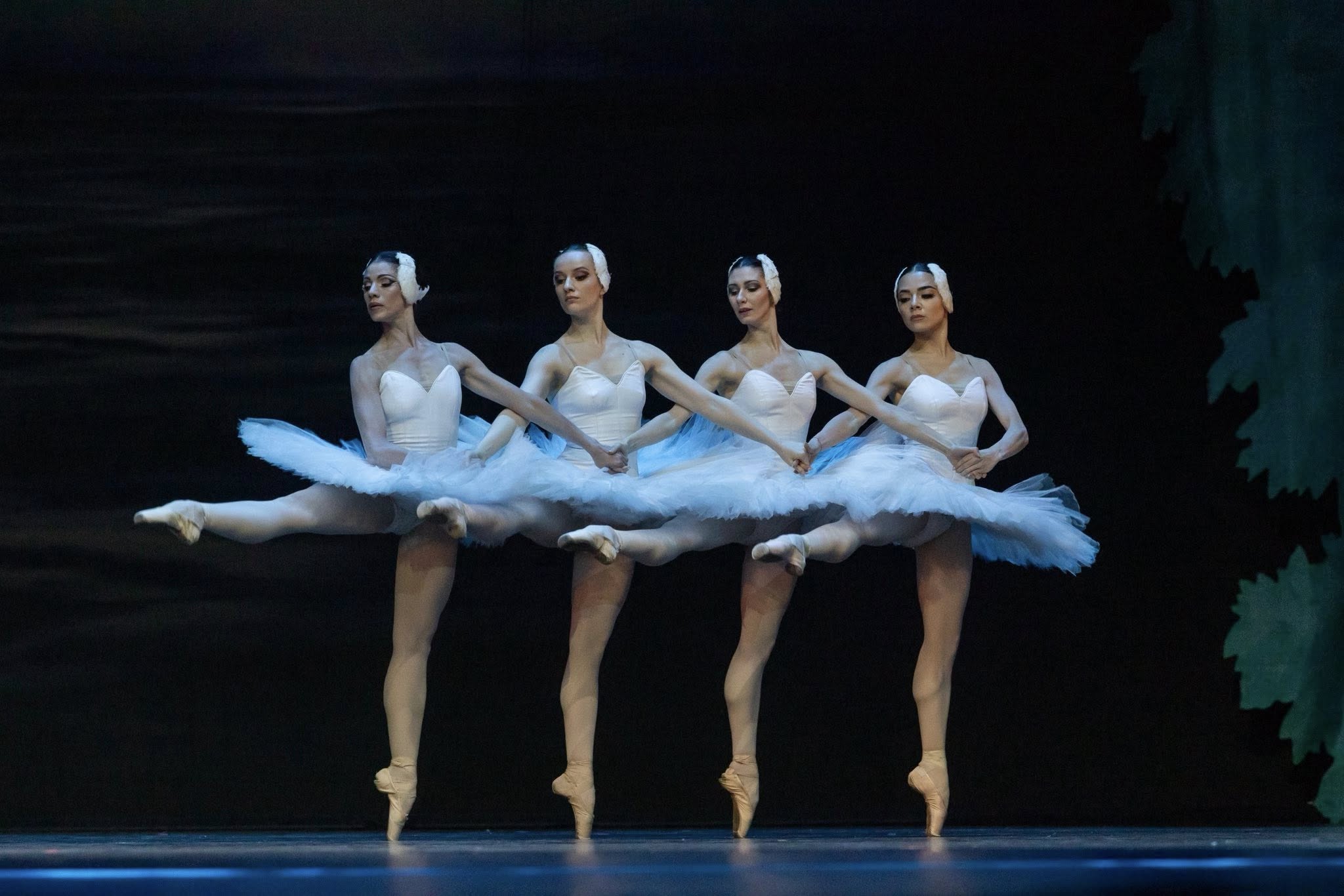 Снимка: ЛЕБЕДОВО ЕЗЕРО / SWAN LAKE by Pyotr Ilyich Tchaikovsky