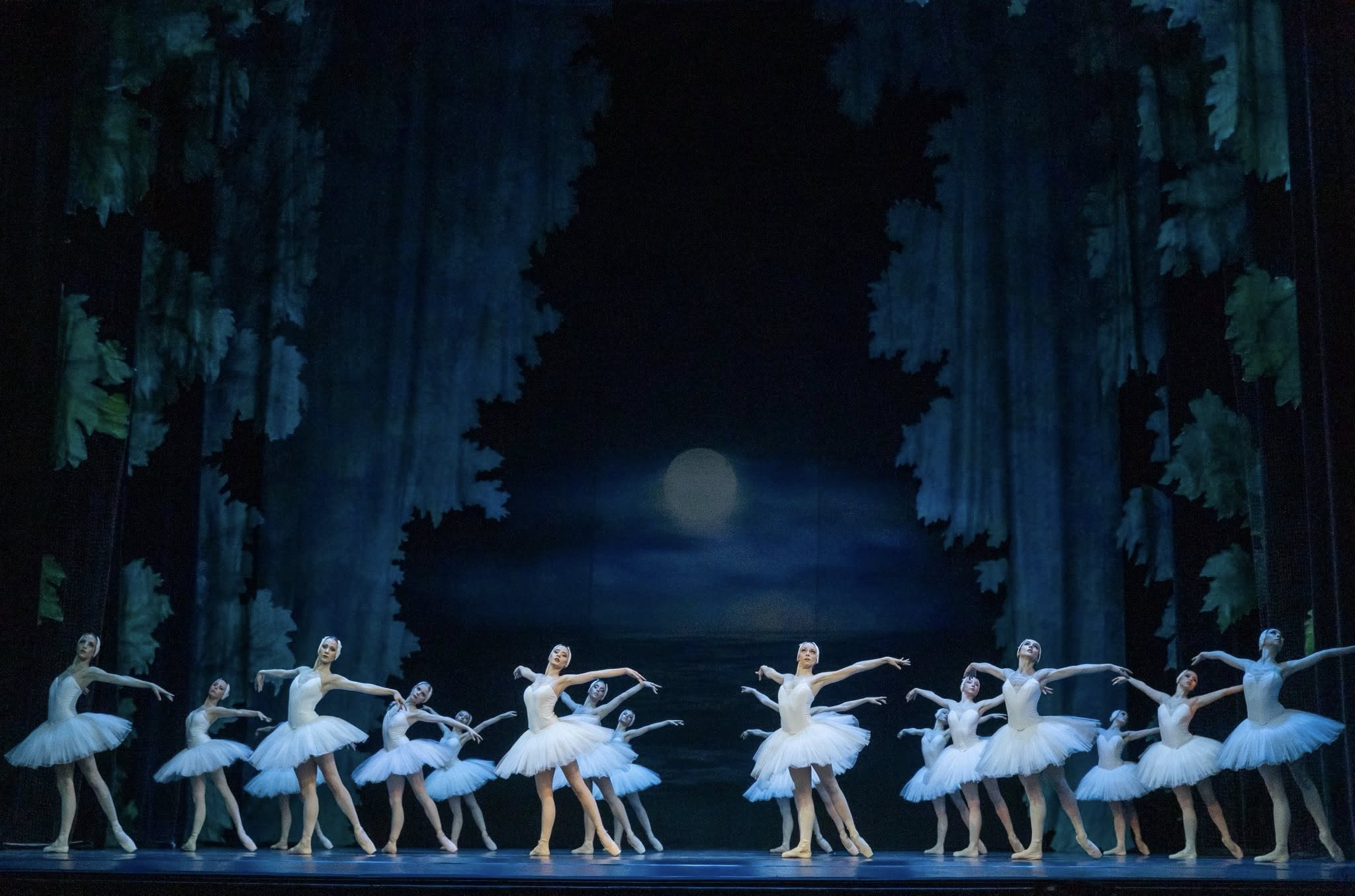 Снимка: ЛЕБЕДОВО ЕЗЕРО / SWAN LAKE by Pyotr Ilyich Tchaikovsky