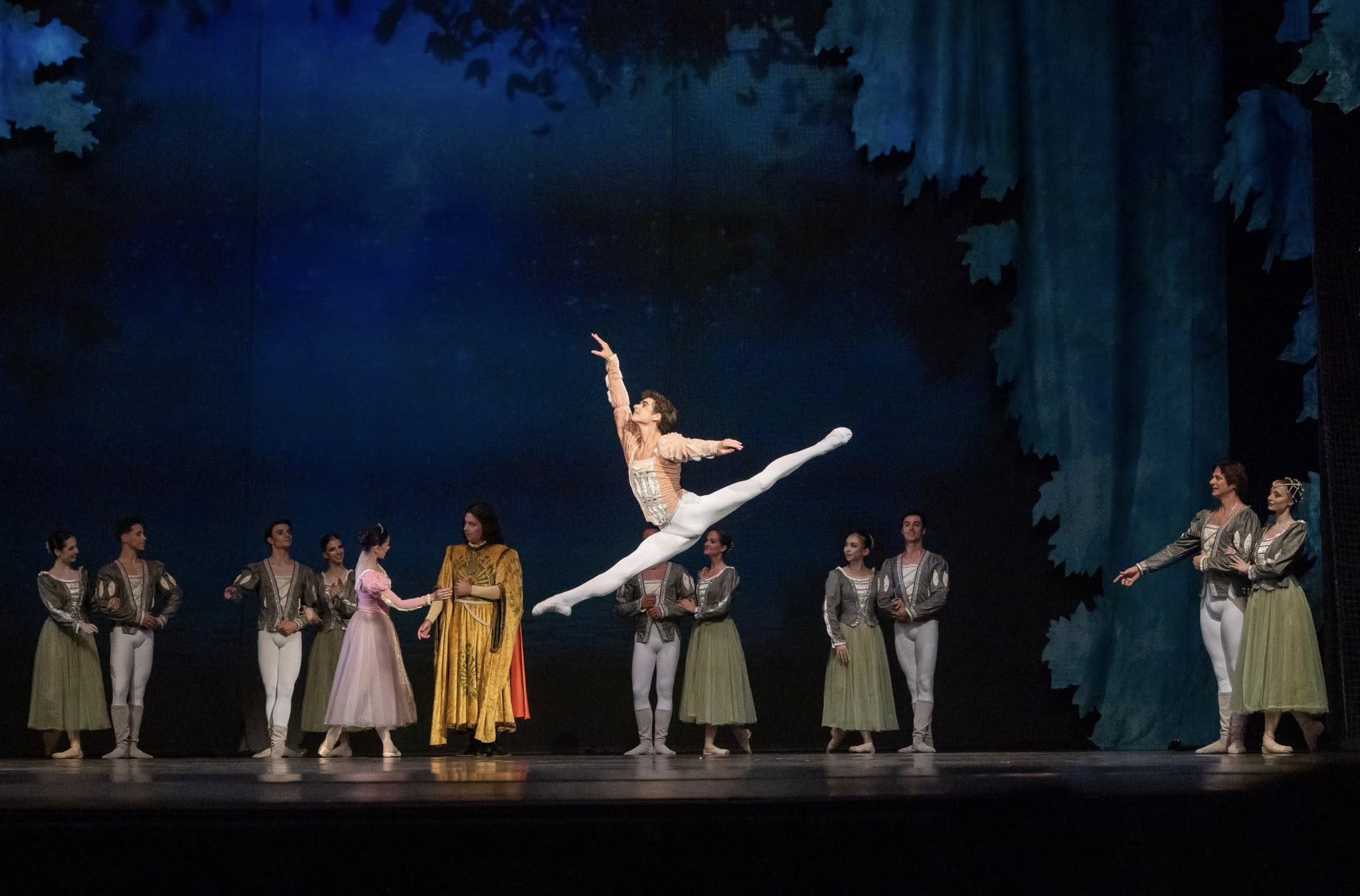Снимка: ЛЕБЕДОВО ЕЗЕРО / SWAN LAKE by Pyotr Ilyich Tchaikovsky